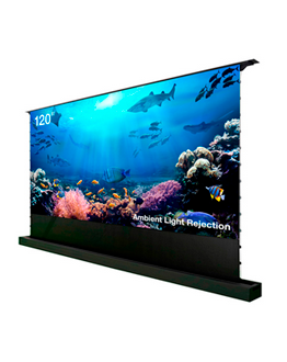 Cactus представляет новые напольные экраны с ALR, CLR и покрытием NBSP 