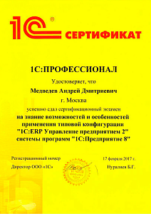 Медведев ПРОФ по ERP