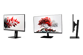 Мониторы RDW Computers в MIDICT